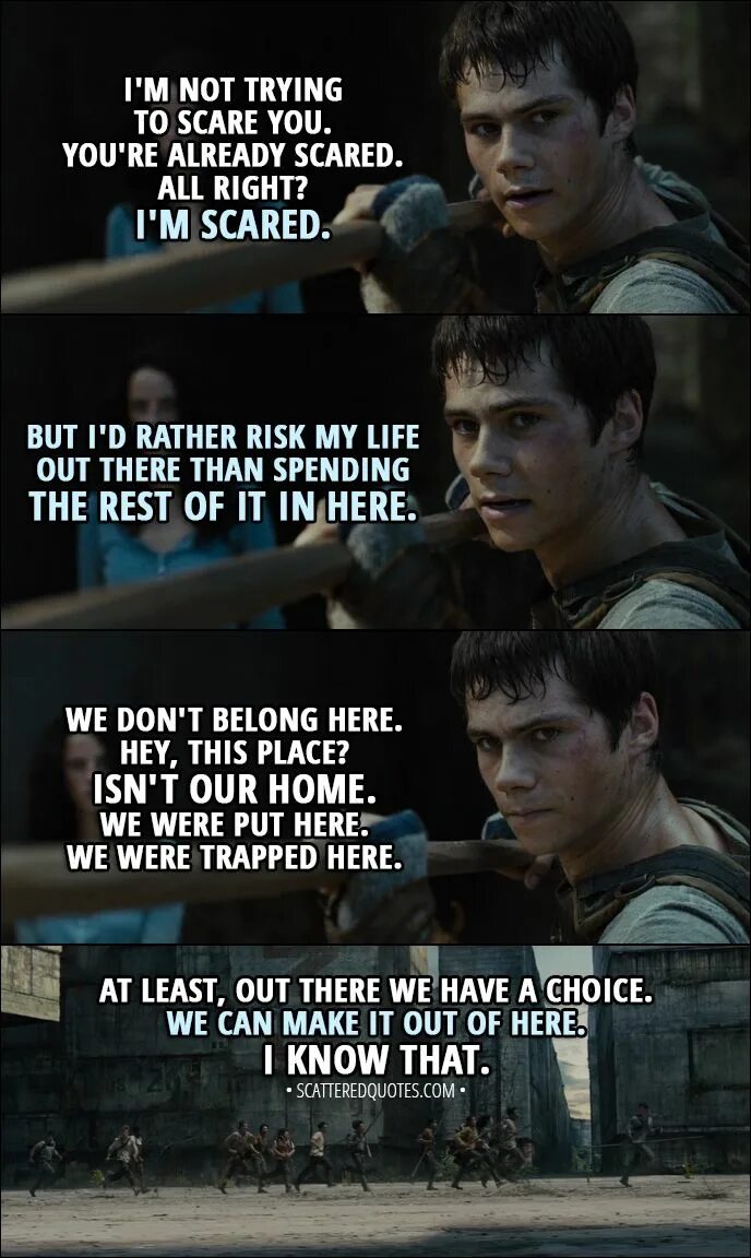 Цитаты из бегущего в лабиринте. Quotes maze runner. the maze runner newt quotes. смешные фразы из фильма бегущего в лабиринте. бегущий в лабиринте цитаты тату.