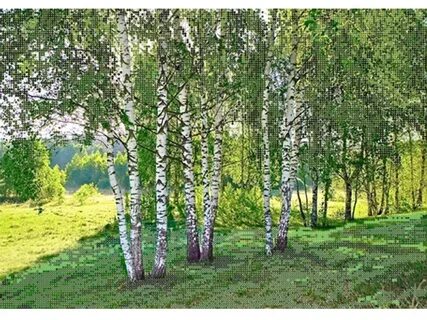 Хорош русский лес в любое время года