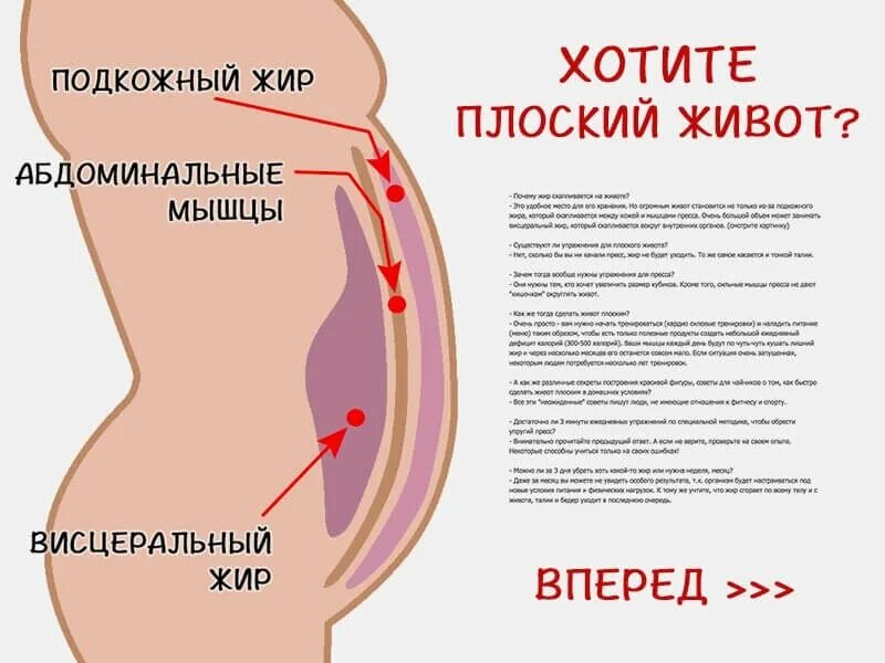 Почему появляется живот. Большой живот у женщин причины. если растёт живот у женщин. растёт живот у женщин причины.