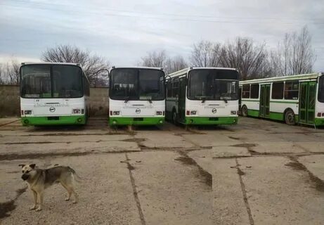 Где автобус астрахань