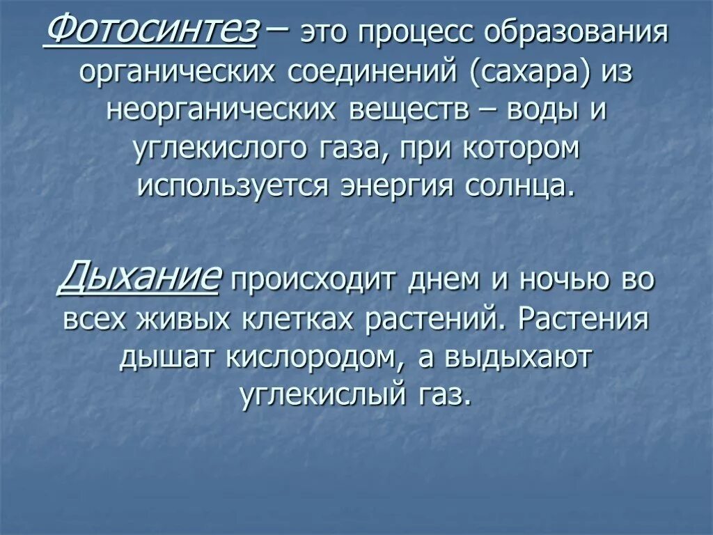 Процесс дыхания растений. У растения в процессе дыхания образуется. Обмен веществ у растений. Дыхание и обмен веществ у растений. Какой процесс называют дыханием биология 6 класс