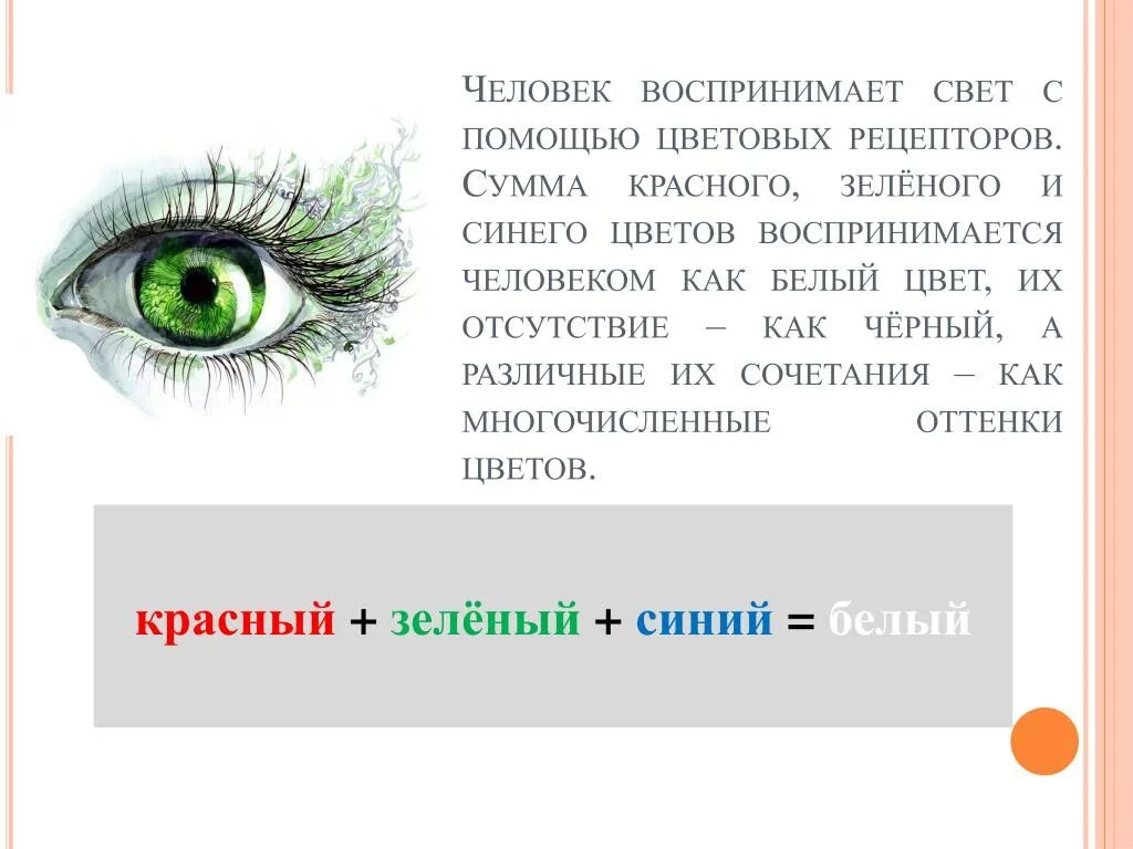 Как человек воспринимает цвета. Как человек воспринимает красный зеленый синий. Как человек воспринимает свет. Как глаз воспринимает цвет.