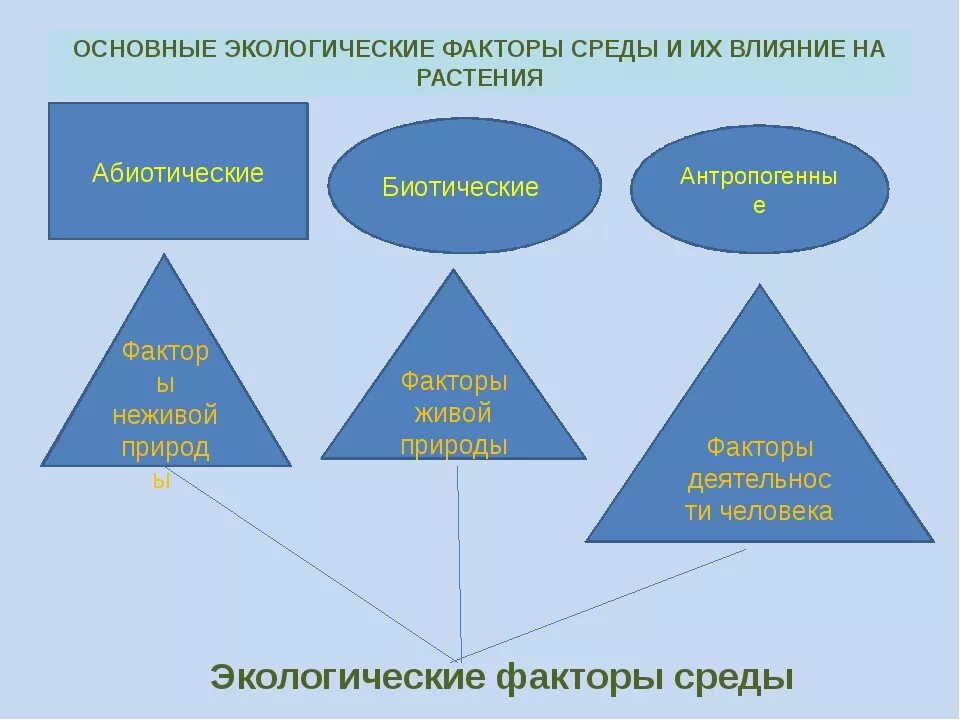 Факторы среды тест 5 класс. Экологические факторы влияющие на растения. Факторы влияющие на экологию. Влияние экологических факторов на растения. Факторы влияющие Наростения.