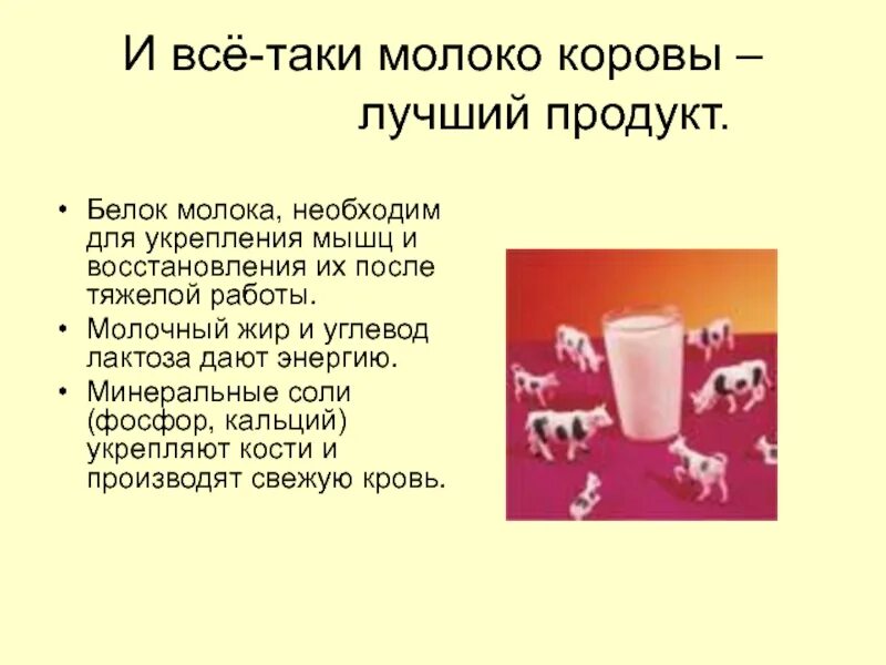 Что такое молочный белок. Белок молока. Белок в молоке. Белок в молоке и молочных продуктах. Молоко это белок.