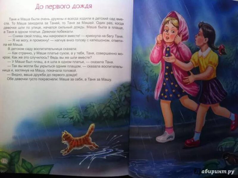 Осеева до первого дождя распечатать. Осеева до первого дождя. рассказ до первого дождя. рассказ осеевой до первого дождя. осеева до первого дождя картинки к рассказу.