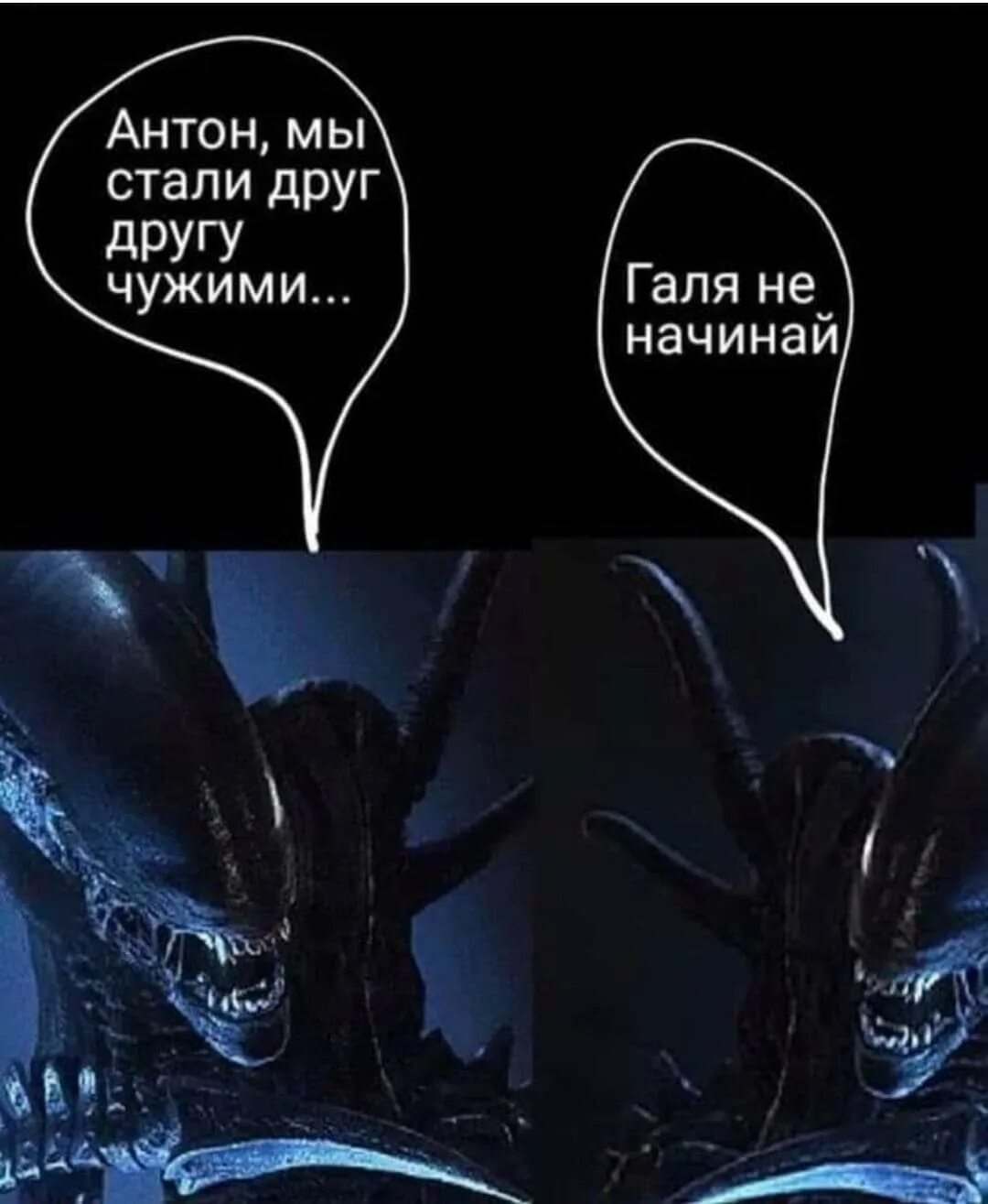 Мы стали чужие друг другу. Галя мы стали друг другу чужими. Чужой приколы. Вчера я стал тебе совсем чужим