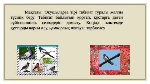 Эротикалық фотосуреттер: әйелдер мен құстар