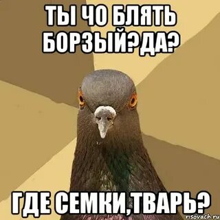 Твои тварь