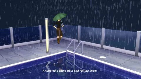 Rain holiday 4