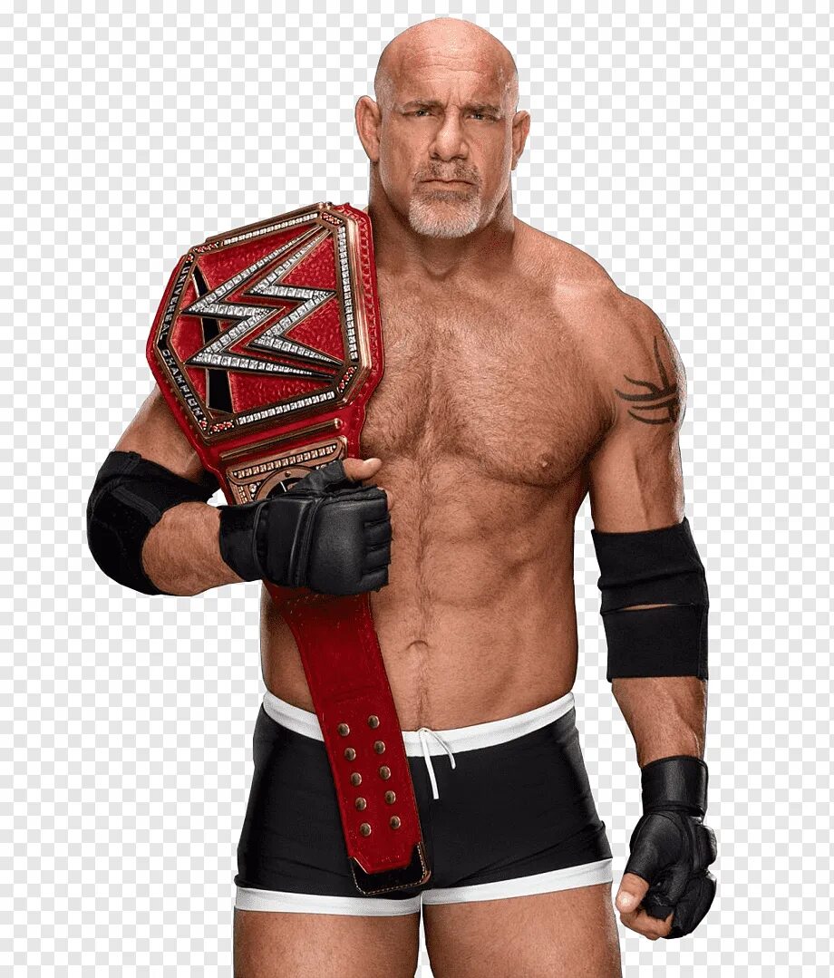 Билл Голдберг. Билл Голдберг рестлеры. Голдберг WWE. Goldberg Рестлер. Голдберг рестлер