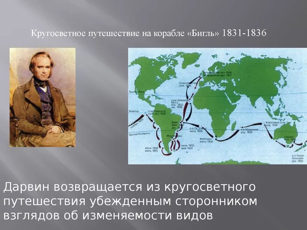 Кругосветное путешествие Чарльза Дарвина. Карта путешествия Чарльза Дарвина на корабле Бигль. Ч дарвин кругосветное путешествие