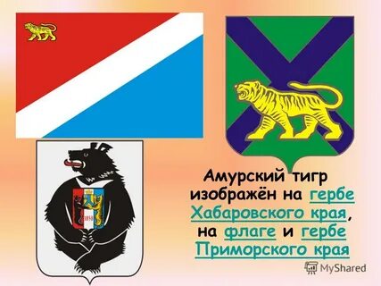 На гербе хабаровского края изображен