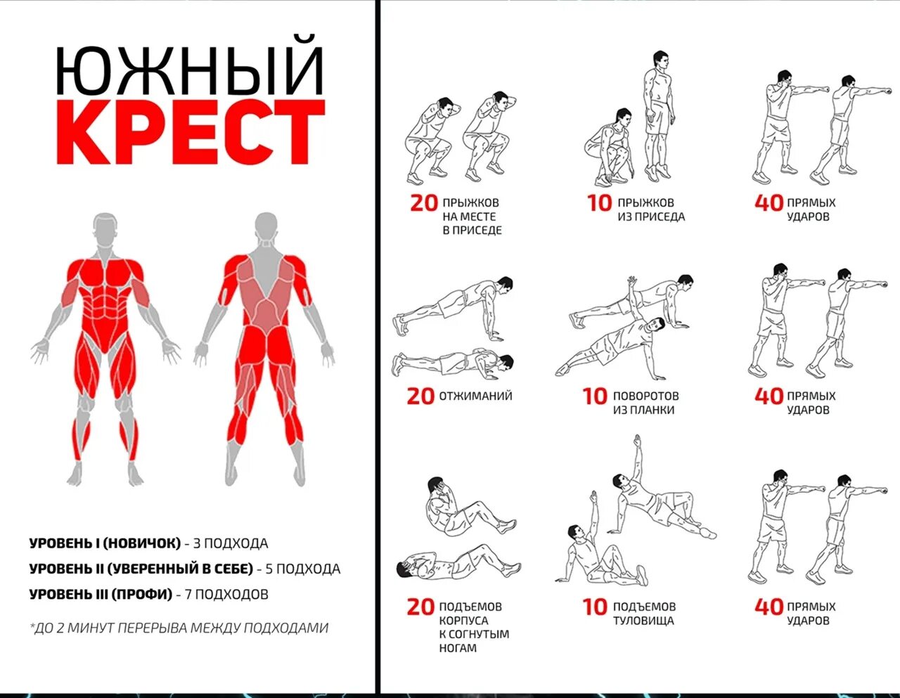 Тренировка для всех групп мышц. Упражнения на группы мышц. Упражнения на все группы мышц в домашних условиях. Тренировка на всю группу мышц.