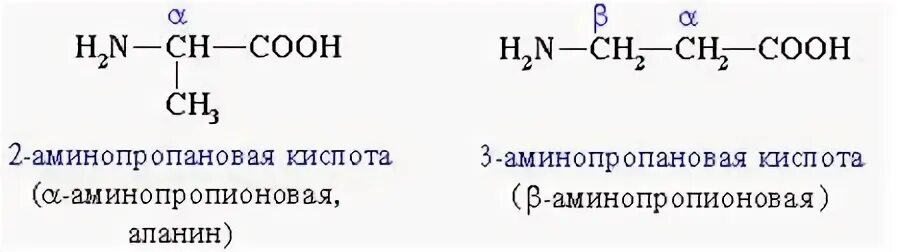 Формула 2 аминопропановой кислоты. 2 Аминопропановая кислота формула. 3 Аминопропановая кислота. Формула 3 аминопропановой кислоты. 3 аминопропионовой кислоты