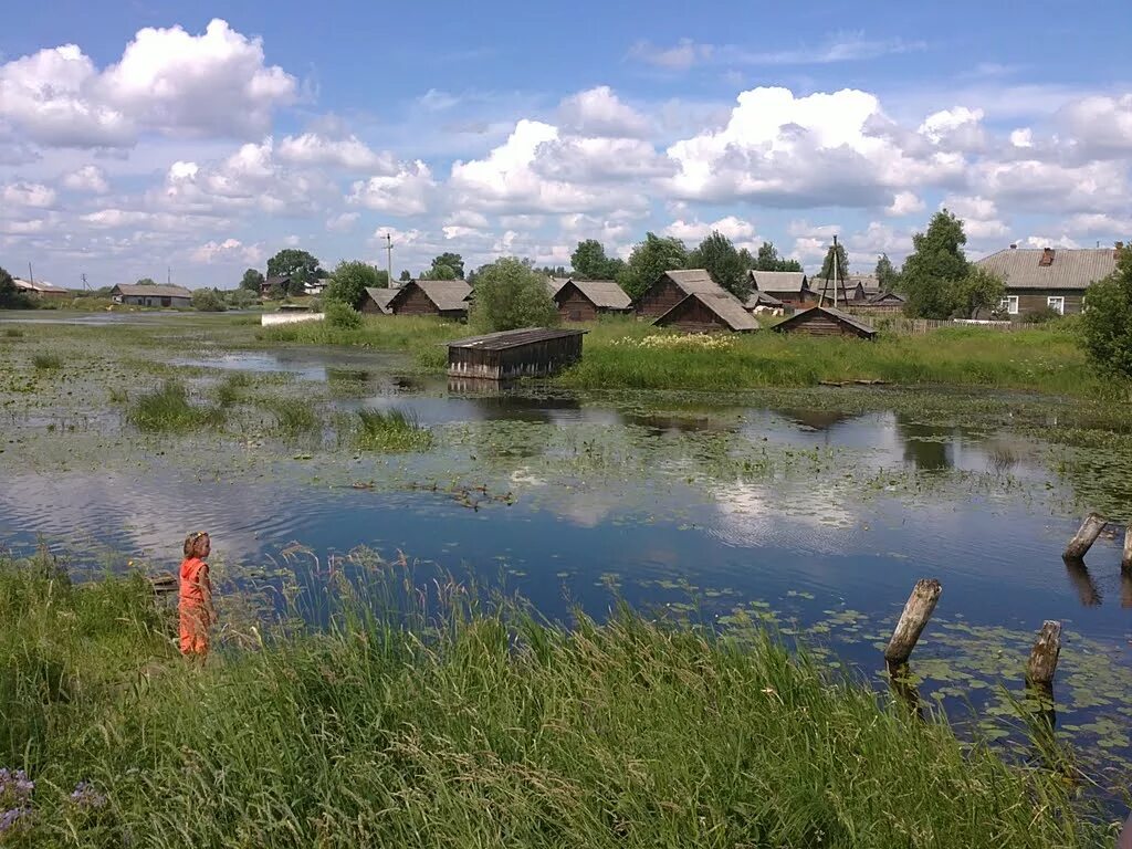 Село Липин Бор. Город Липин Бор Вологодской области. Река Боровка Липин Бор. Липин Бор Вологда. Группа вконтакте липин бор