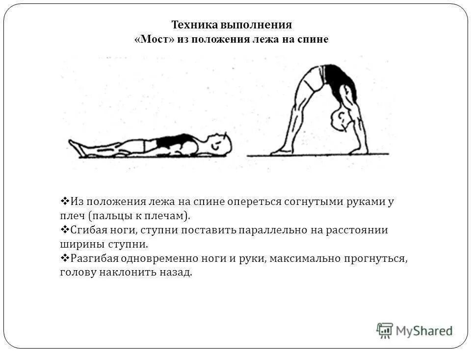 Положение занимающихся на согнутых ногах в гимнастике