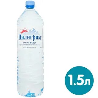 Газ пилигрим