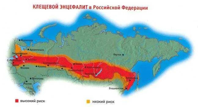 Где обитает энцефалитный клещ в россии карта. Распространение энцефалита. Карта распространения иксодовых клещей в россии. Карта распространения энцефалитных клещей в россии. Ареал обитания энцефалитного клеща в россии карта.