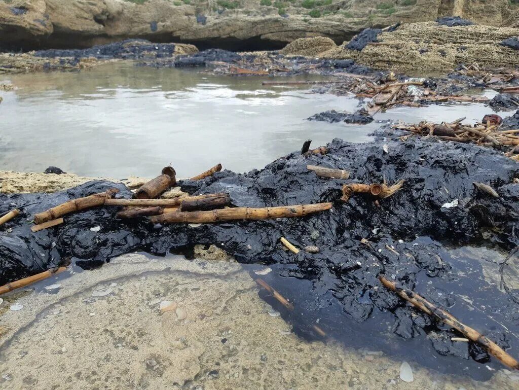 Где была экологическая катастрофа. Экологическая катастрофа разлив нефти в израиле. экологическая катастрофа в средиземном море 2025. разлив нефти в израиле 2025. разлив нефти в средиземном море.