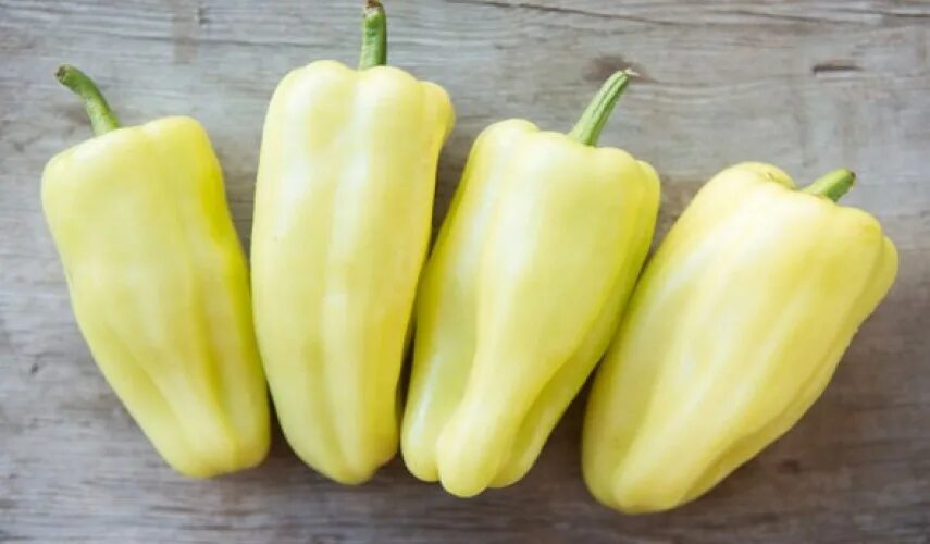 Сорт перца белозерка. Семена перец сладкий белозерка. Перец белозерка семена. Перец семена сорт белозерка. Перец белозерка описание сорта.