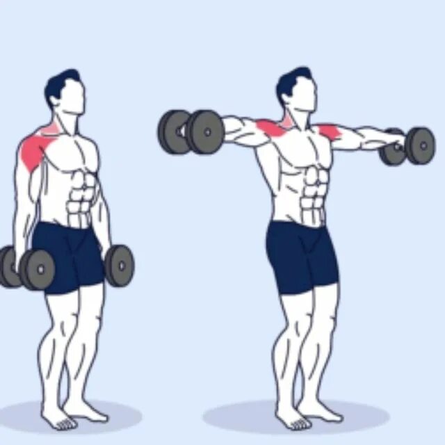 Техника выполнения махов гантелями. Dumbbell lateral raise. Подъем гантелей в стороны. Подъем гантелей через стороны. Подъем гантелей через стороны сидя.