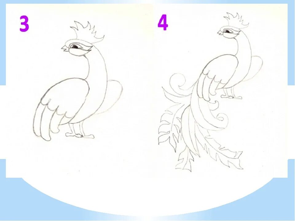 Жар птица пошаговое рисование. Поэтапное рисование волшебной птицы. Сказочная птица поэтапное рисование. Рисование Жар птицы поэтапно. Поэтапное рисование сказок