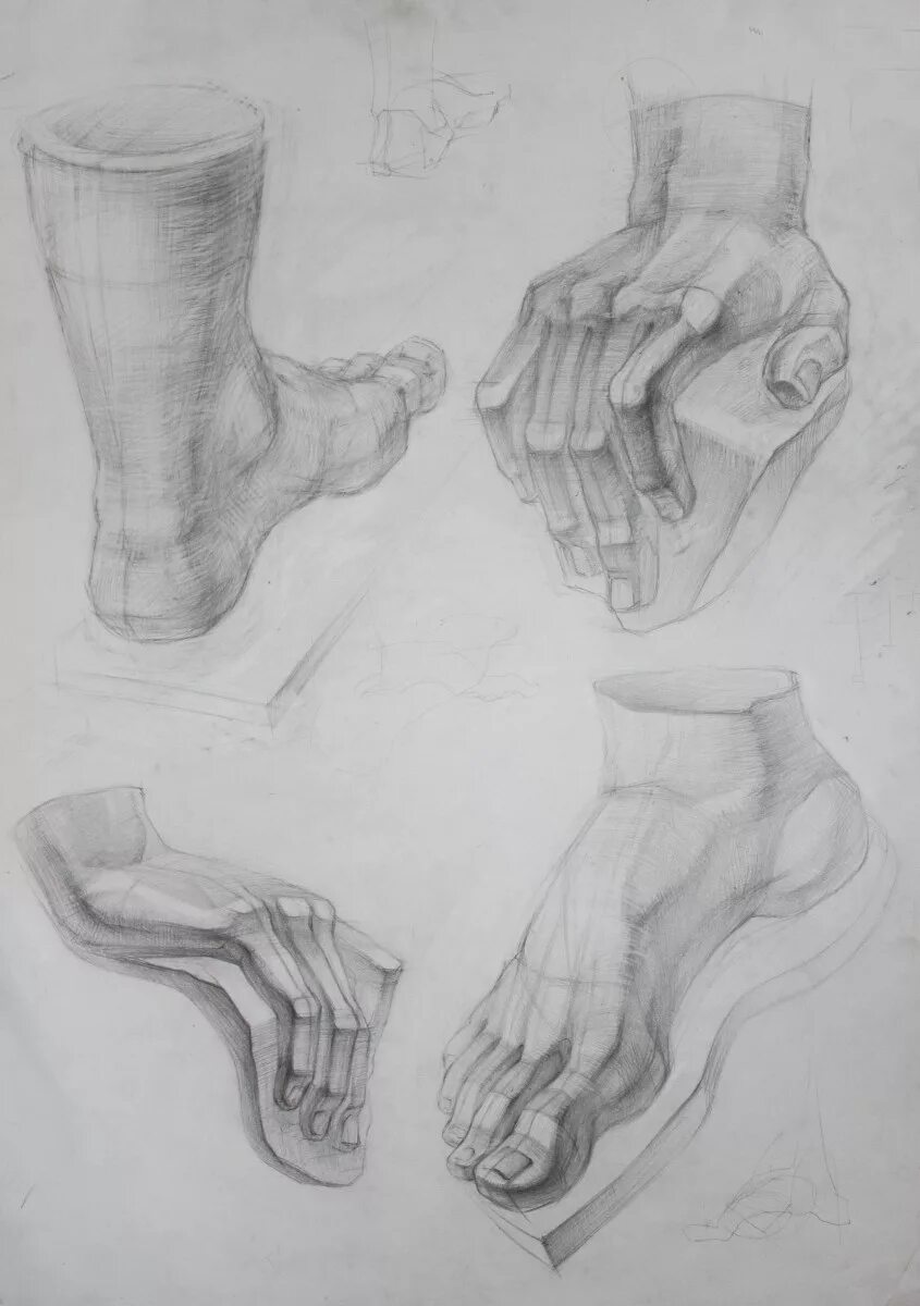 гипсовая модель кисть давида. гипсовая рука академический рисунок. гипсовая кисть руки. кисть руки академический рисунок гипс. гипсовая рука.