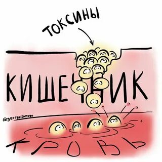 Дырявый кишечник что это