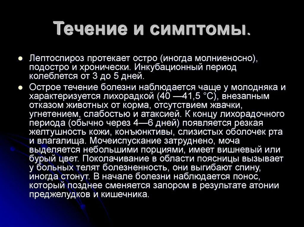 Лептоспироз периоды болезни. Лептоспироз течение и симптомы. Больной лептоспирозом