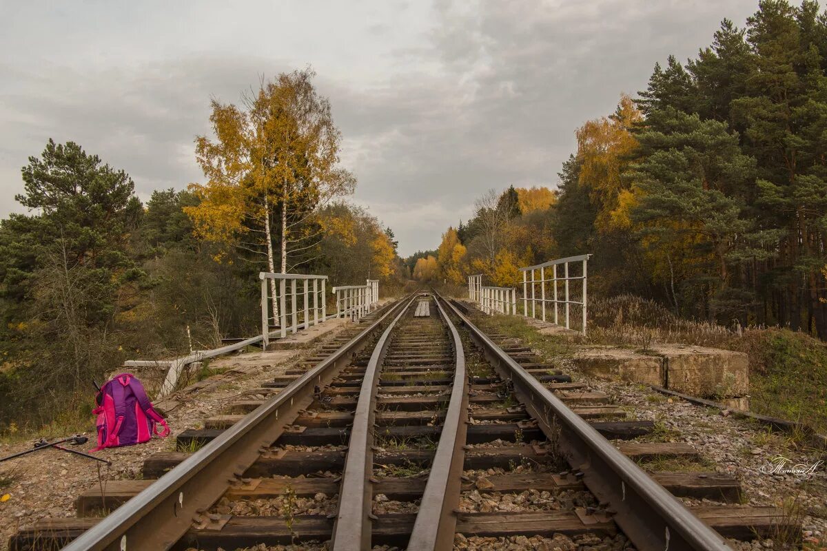Опять от меня сбежала последняя электр. Человек бежит за поездом. Опять от меня сбежала последняя электричка. Опять по шпалам. А я по шпалам опять по шпалам.