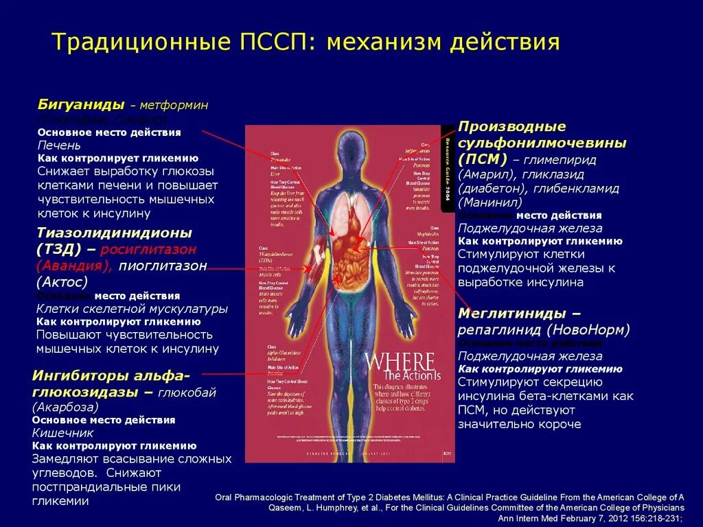 Механизм действия бигуанидов. Диабет механизм действия. Сахарный диабет механизм действия. Механизм действия ПССП. Механизм действия глимепирида.