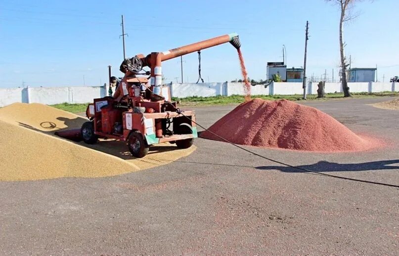 Протравливание семян перед посевом зерновых культур. Пнш 3 протравливатель. Протравитель семян маэстро пс-20м-4. Протравитель семян пшеницы. Пс-10 протравливатель семян.