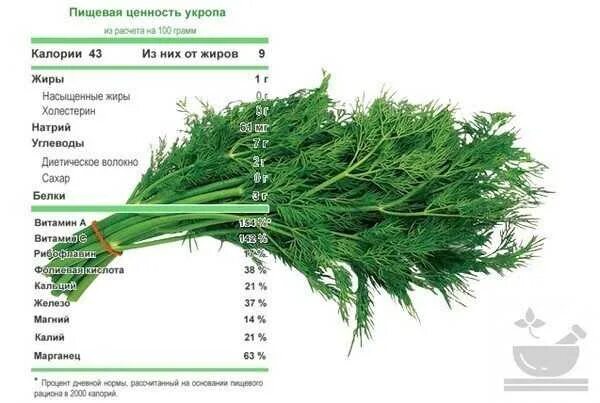 Сколько калорий в укропе