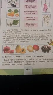 Наш любознательный попугай предлагает тебе расшифровать название