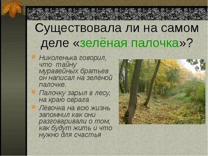 Муравейные братья