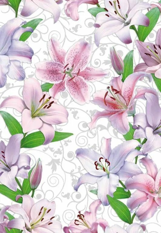 Панель пвх "розовая орхидея " 0,25х2,7 м. 75м2/7,5м2) 8мм. Потолочные панели армстронг. Плиты армстронг 600х600 влагостойкие. Панель пвх лилия 125227.