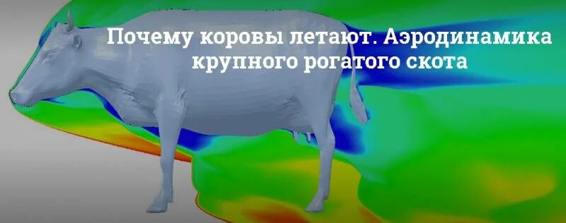 Схема аэродинамического сопротивления коровы. Аэродинамика коровы ansys. Обтекаемость коровы. Аэродинамика коровы. Обтекаемость коровы.