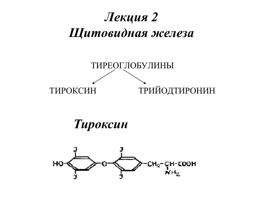 Тироксин ферменты. Схема синтеза тироксина. Тироксин строение биохимия. Тироксин схема. Образование тироксина.