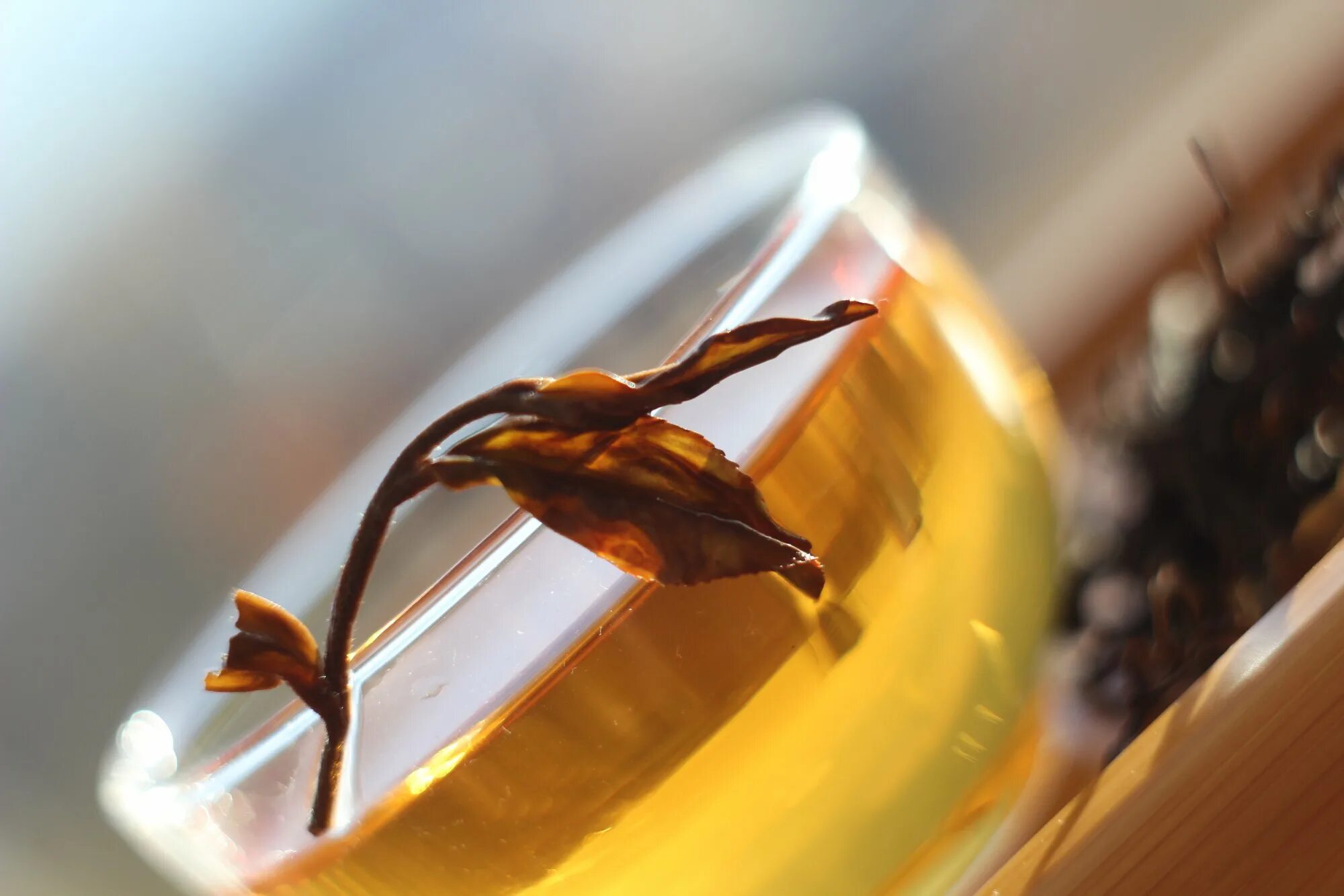 юджа чай. дрессинг юдзу , корея. чай с медом. мед и зеленый чай png. цитроновый чай.