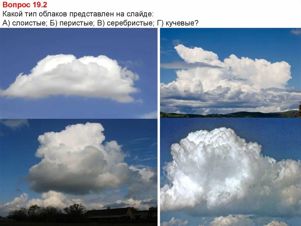 КОНЬ - символ клуба! - Фотография 13 из 52 ВКонтакте