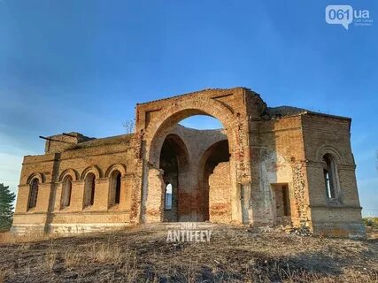 Малая белозерка