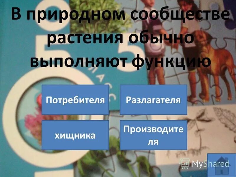 В природном сообществе растения обычно выполняют функцию