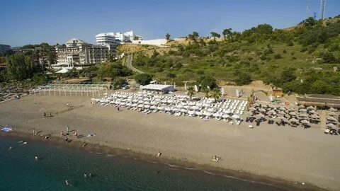 Laguna beach отзывы