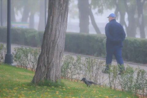 Похолодание волгоград