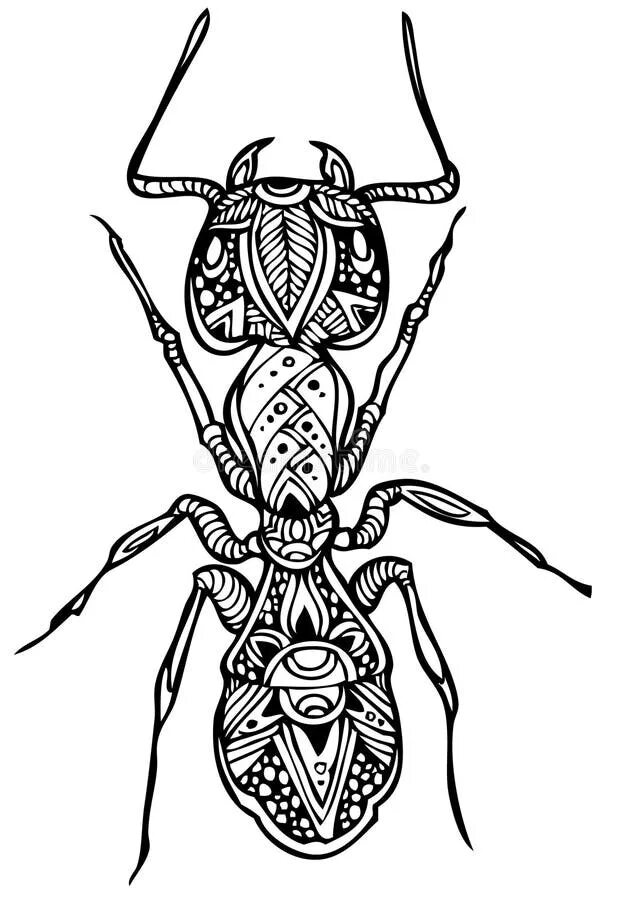 The insect tribe doesn t normally allow