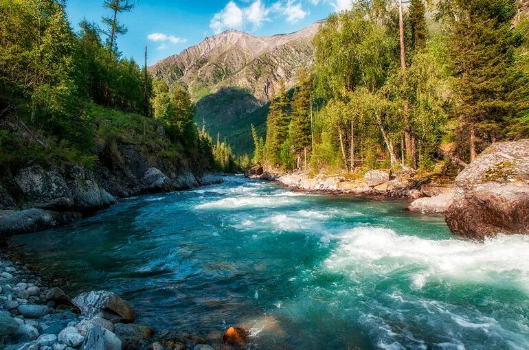 Алтайские горы катунь. Ручей горная речка урал. Горная река предложение. Река уймень. Каменный ручей на урале.