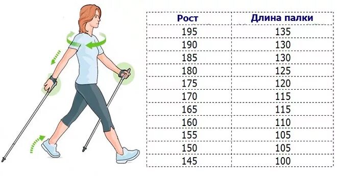 Как правильно подобрать длину палок для скандинавской ходьбы. Подобрать длину палок для скандинавской ходьбы по росту таблица. Скандинавская ходьба как выбрать палки по росту таблица. Как рассчитать длину палок для скандинавской ходьбы правильно.
