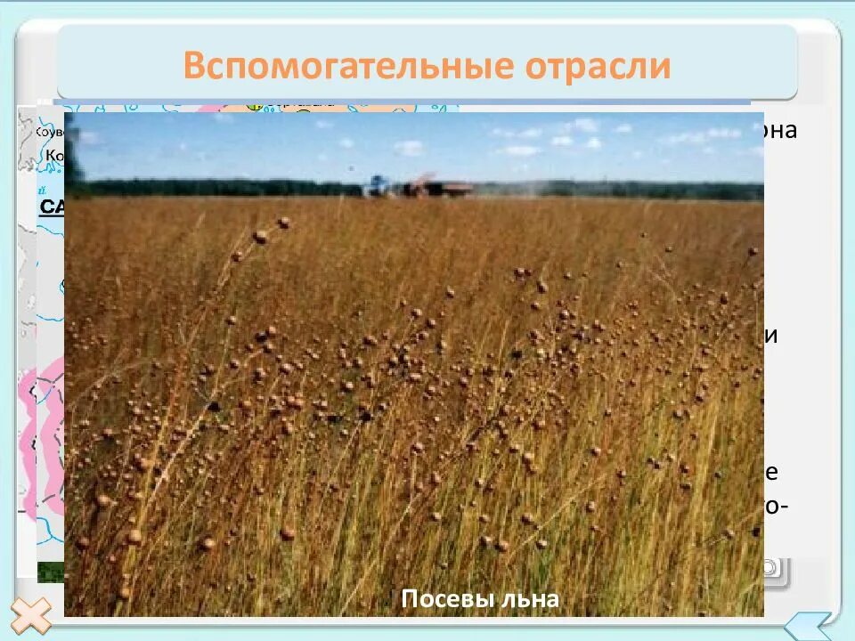 Несельскохозяйственные функции. Отрасли обслуживающие апк. География промышленности казахстана. Вспомогательные отрасли промышленности. Вспомогательные отрасли хозяйства.