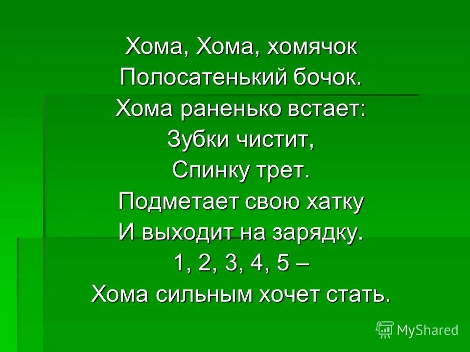 Хомячок хомячок полосатенький бочок стих. Физминутка Хома Хома хомячок. Физминутка хомячок полосатенький бочок. Физминутка Хома Хома хомячок полосатенький бочок. Стишок Хома Хома хомячок полосатенький.