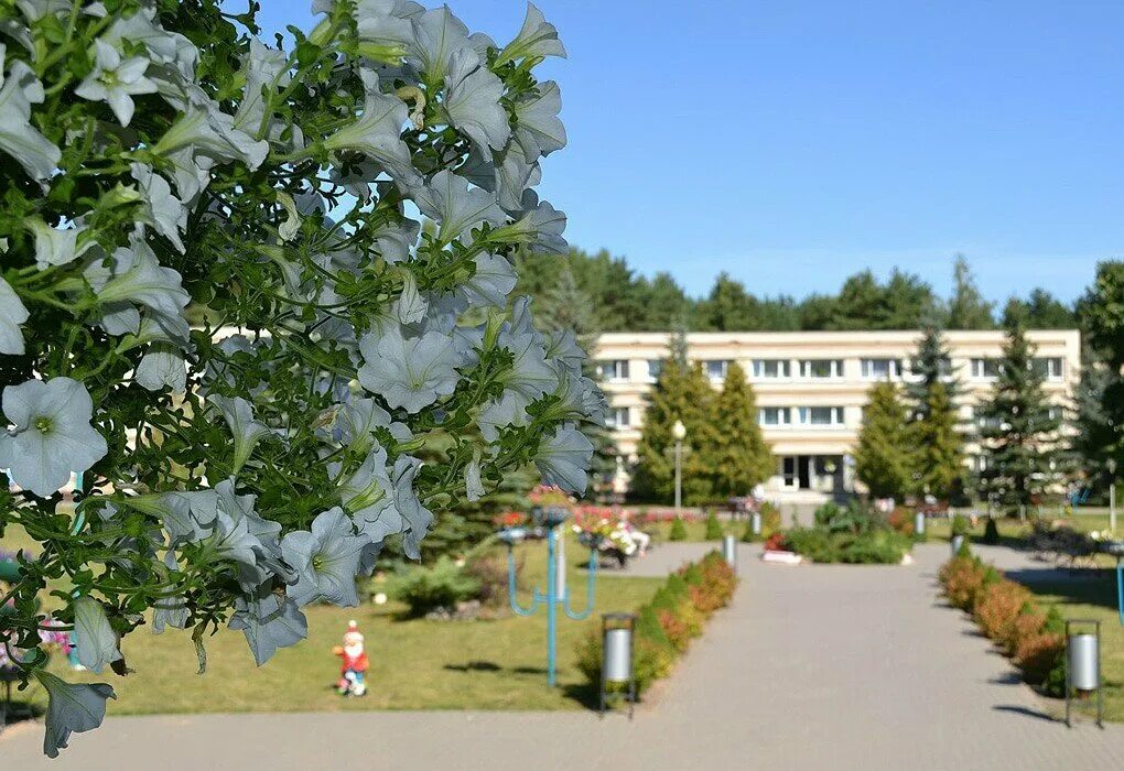санаторий журавушка нарочь. санаторий журавушка марий эл. санаторий журавушка минская область. санаторий журавушка минская область. журавушка, беларусь, нарочь.